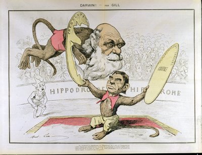 Caricature of Charles Darwin and Emile Littre as Performing Monkeys at a Circus by Andre Gill